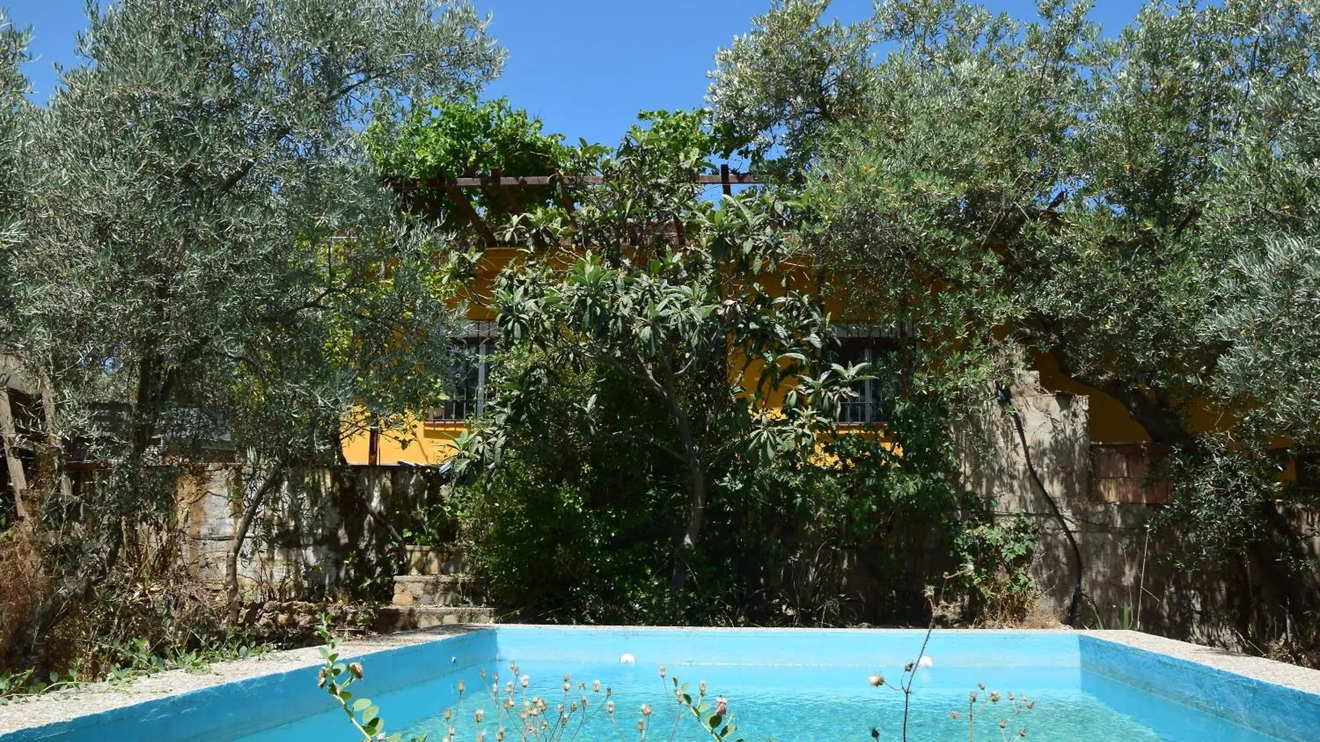 Finca Dos Cipreses Ventorros de la Laguna