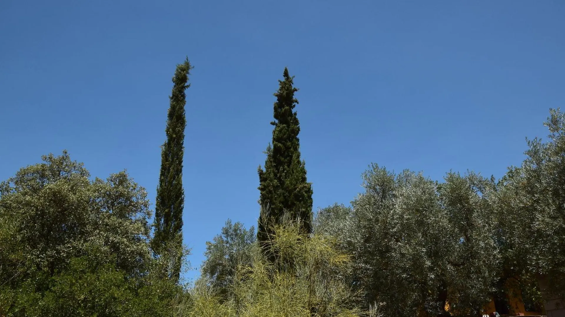 Finca Dos Cipreses Ventorros de la Laguna Tatil Evi
