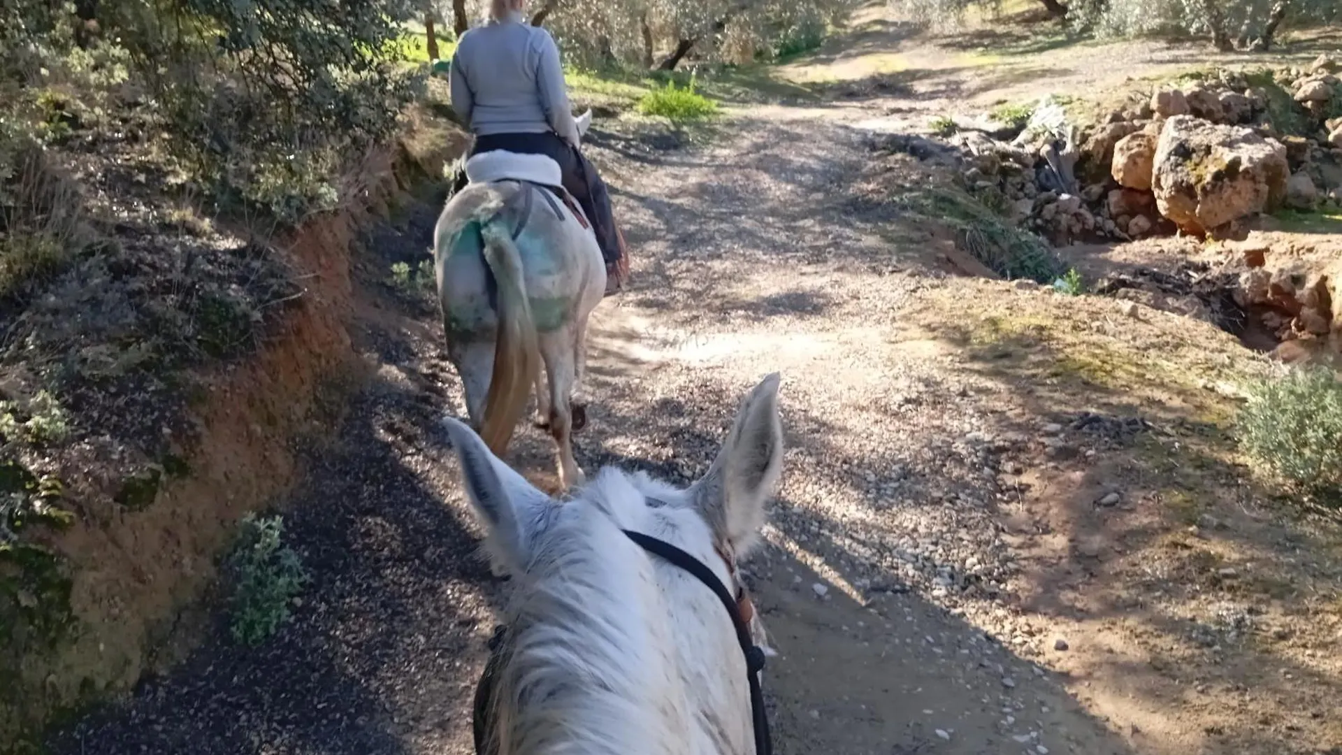 Finca Dos Cipreses Ventorros de la Laguna 0*,