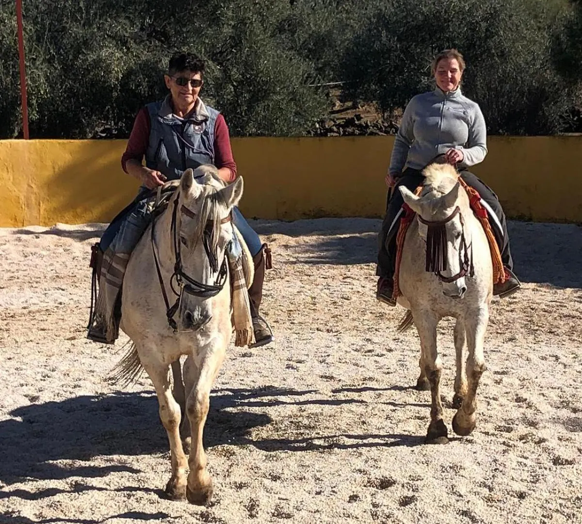 Finca Dos Cipreses Ventorros de la Laguna Tatil Evi