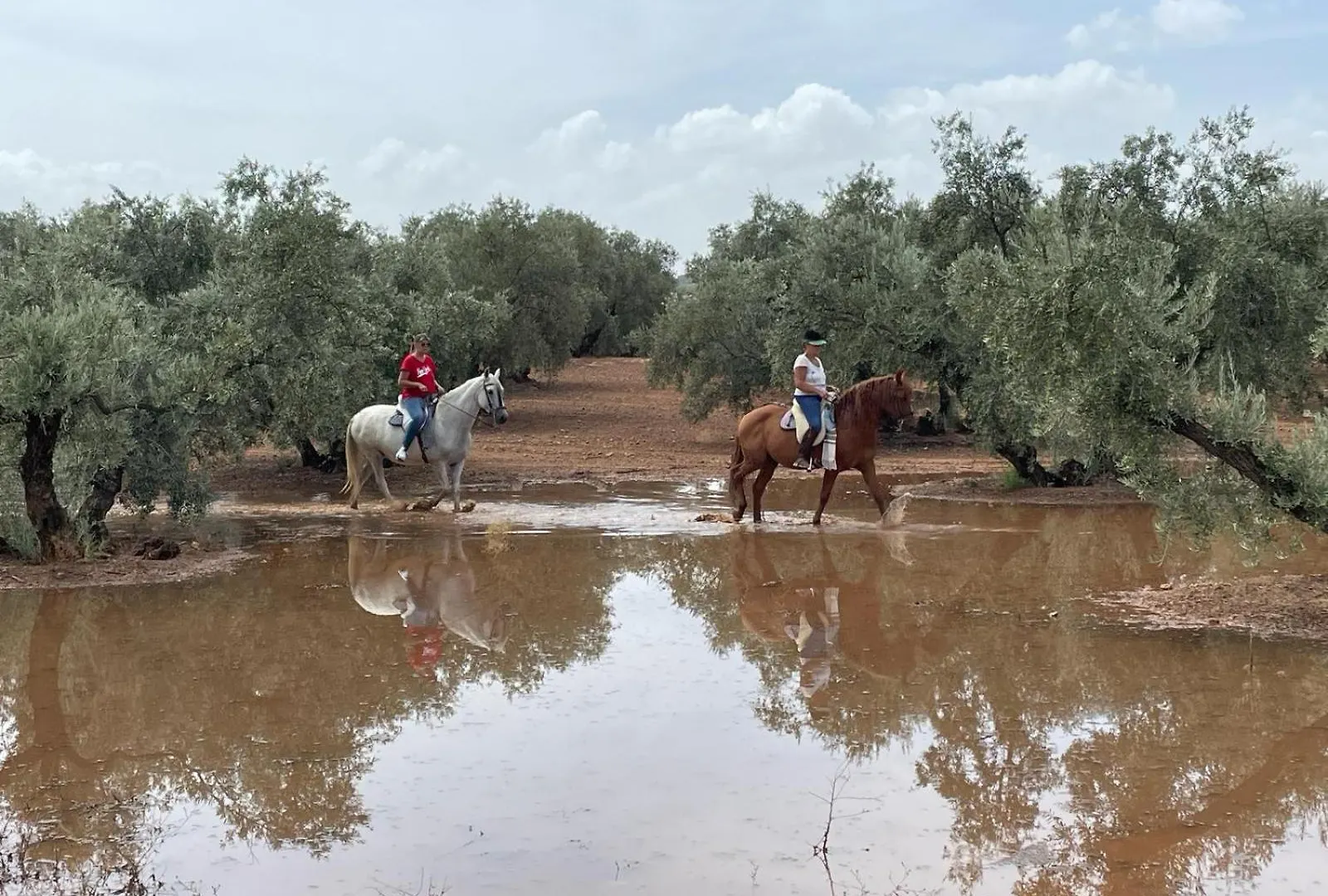 Finca Dos Cipreses Ventorros de la Laguna İspanya