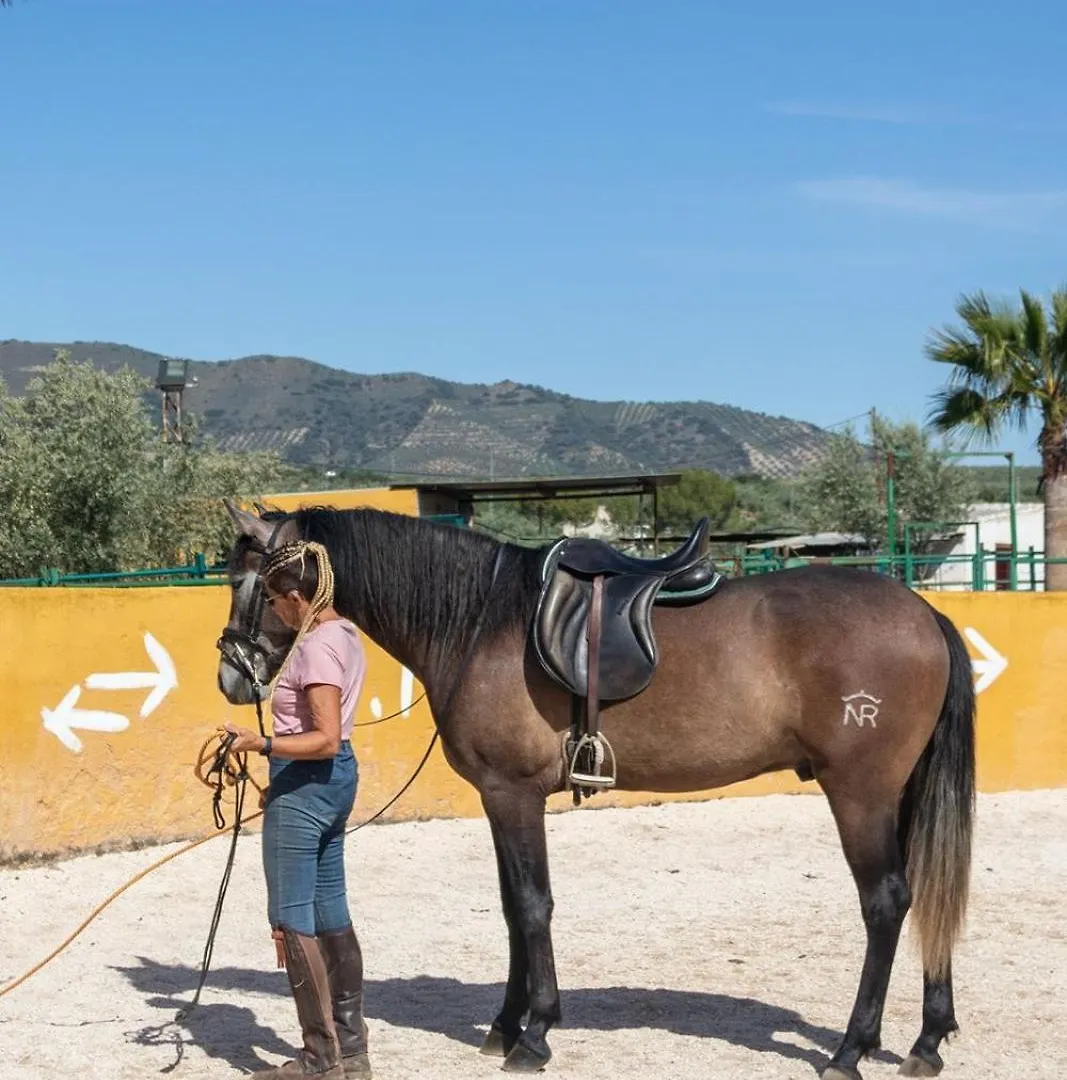 Finca Dos Cipreses Ventorros de la Laguna İspanya