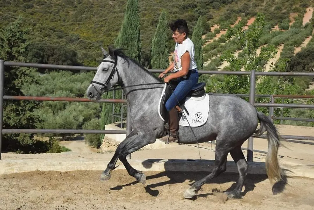 Finca Dos Cipreses Ventorros de la Laguna